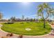 Expansive green space in the community, perfect for recreation and leisurely activities at 2680 E Lodgepole Dr, Gilbert, AZ 85298