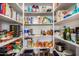Organized walk-in pantry with plentiful shelving and a variety of food items at 2680 E Lodgepole Dr, Gilbert, AZ 85298