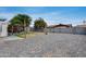 Expansive backyard features a custom pergola, mature trees, and plenty of space for recreation and relaxation at 5228 W Aster Dr, Glendale, AZ 85304
