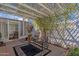 Covered patio features an ornate lattice cover, shade plants, and comfortable seating for relaxing outdoors at 6441 E Colby St, Mesa, AZ 85205