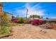 Spacious backyard displaying bougainvillea and fencing under a bright sky at 1017 E Seldon Ln, Phoenix, AZ 85020