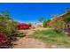 Open backyard showcasing flowering shrubs and sparse landscaping, with clear blue sky at 1017 E Seldon Ln, Phoenix, AZ 85020