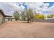 Spacious backyard with desert landscaping and mature trees providing shade at 10437 E Boulder Dr, Apache Junction, AZ 85120