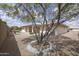 Backyard featuring desert landscaping, a mature tree, and privacy wall at 11003 E Kiva Ave, Mesa, AZ 85209