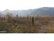 Scenic desert landscape with mountains and mature cacti, offering a serene natural backdrop at 1431 W Mountain Sky Ave, Phoenix, AZ 85045