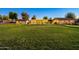 Wide shot of manicured fenced property with expansive grassy areas and accessory buildings at 1438 E Mesquite St, Gilbert, AZ 85296