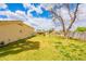 Wide view of a large fenced yard with healthy grass and a few utility buildings at 1438 E Mesquite St, Gilbert, AZ 85296