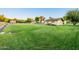 Large fenced backyard with lush green grass surrounding outbuildings on the property at 1438 E Mesquite St, Gilbert, AZ 85296