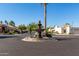Neighborhood roundabout with lush palm trees and a stone water fountain, exemplifying community charm at 14458 W Zuni Trl, Surprise, AZ 85374