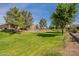 Expansive backyard with lush green grass and mature shade trees at 20627 N Lemon Drop Dr, Maricopa, AZ 85138