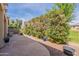 Charming backyard patio with desert landscaping and bright blue potted plants at 20627 N Lemon Drop Dr, Maricopa, AZ 85138