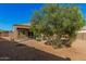 The backyard has low-maintenance landscaping with gravel, a shade tree, and covered patio at 23805 W Romley Ave, Buckeye, AZ 85326