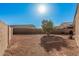 Fenced backyard features low-maintenance landscaping, gravel, and a shade tree at 23805 W Romley Ave, Buckeye, AZ 85326