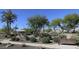 Beautiful view of a community park featuring desert plants, trees, and shaded ramada at 2449 E Desert Flower Ln, Phoenix, AZ 85048