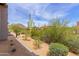 Landscaped backyard with desert plants, blue sky, and views of neighboring homes at 26699 N 104Th Way, Scottsdale, AZ 85262