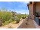 Desert backyard with native plants, mature trees, and views of the mountains at 26699 N 104Th Way, Scottsdale, AZ 85262