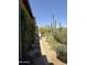 Desert backyard showcasing saguaro cacti, landscaping, and mountain views under a clear blue sky at 26699 N 104Th Way, Scottsdale, AZ 85262