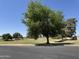 A beautiful park with mature trees offering a serene and picturesque outdoor space at 2834 E Juanita Ave, Mesa, AZ 85204
