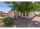 Inviting front yard with desert landscaping, mature trees, and a charming single-story home at 29051 N Shannon Dr, San Tan Valley, AZ 85143