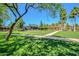 Picturesque community park featuring lush green grass, mature trees, and a walking path at 3994 E Maplewood St, Gilbert, AZ 85297