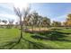 Expansive grassy area with scattered trees and sunlight creating shadows in a peaceful park setting at 3994 E Maplewood St, Gilbert, AZ 85297