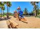 Fun playground area with colorful play structures and palm trees in a sandy setting at 3994 E Maplewood St, Gilbert, AZ 85297