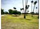 Serene common area with lush grass, mature trees, and palm trees, providing a relaxing environment at 4747 N 84Th Way, Scottsdale, AZ 85251