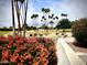 Lush landscaping showcases vibrant flowers and mature palm trees in the community park at 4747 N 84Th Way, Scottsdale, AZ 85251