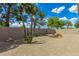 Desert-landscaped backyard featuring privacy wall and mature trees at 6372 S Callaway Dr, Chandler, AZ 85249