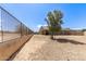 Large backyard featuring gravel ground cover, a tree, and fenced perimeter at 19887 N Herbert Ave, Maricopa, AZ 85138