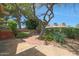 Landscaped backyard featuring a mature tree, lush greenery, and a brick patio, creating a serene outdoor oasis at 25639 S Beech Creek Dr, Sun Lakes, AZ 85248