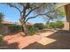 Backyard with large tree, lush landscaping, a brick patio and stone walking path creating a perfect outdoor space at 25639 S Beech Creek Dr, Sun Lakes, AZ 85248