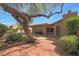 Spacious backyard features a large tree, lush landscaping, and a charming brick patio, perfect for outdoor enjoyment at 25639 S Beech Creek Dr, Sun Lakes, AZ 85248
