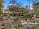 Spacious backyard featuring desert landscaping with mature trees, rock features, and a patio, perfect for outdoor living at 11821 S Tuzigoot Ct, Phoenix, AZ 85044