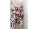 Organized closet with shelves, rods, and ample storage for clothing and toys at 14095 W Larkspur Dr, Surprise, AZ 85379