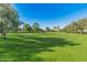 Expansive green park with mature trees and open space, perfect for recreation and relaxation at 14166 W Valentine St, Surprise, AZ 85379