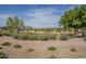 Attractive common area featuring green spaces, desert landscaping and walking paths with a view of the surrounding community homes at 3247 N Loma Vis, Mesa, AZ 85213