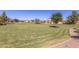 Expansive green community park with mature trees, offering plenty of space for recreation and relaxation at 3552 E Carla Vista Dr, Gilbert, AZ 85295