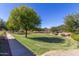 Lush green lawn with mature trees and landscaping offers a peaceful and inviting outdoor space at 3552 E Carla Vista Dr, Gilbert, AZ 85295