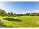 Lush green lawn provides a serene setting for outdoor activities and community events at 3552 E Carla Vista Dr, Gilbert, AZ 85295