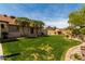 Lush green backyard features mature trees, desert landscaping, and a well-maintained lawn at 4525 E Desert View Dr, Phoenix, AZ 85044
