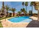 Sparkling backyard pool is surrounded by towering palm trees and desert landscaping at 4525 E Desert View Dr, Phoenix, AZ 85044