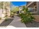Landscaped community walkway with flowering plants and desert flora for a tranquil setting at 5100 E Rancho Paloma Dr # 2078, Cave Creek, AZ 85331