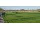 A scenic green space, perfect for outdoor activities and relaxation at 15911 W Montana De Oro Dr, Surprise, AZ 85387