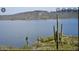 Beautiful view of the lake with desert landscape and Saguaro cactus at 15911 W Montana De Oro Dr, Surprise, AZ 85387