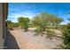 Scenic backyard featuring desert landscaping, mature trees, and well-manicured shrubbery at 301 S 225Th Ave, Buckeye, AZ 85326