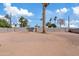 Wide, level backyard with a mix of desert landscape and perimeter trees and block fencing at 311 N Henkel --, Mesa, AZ 85201
