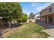 View of the well-maintained backyard with lawn, trees, and covered patio at 332 N Cobblestone St, Gilbert, AZ 85234