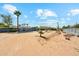 Expansive desert front yard with mature cacti and desert landscaping under a bright blue sky at 12501 E Cloud Rd, Chandler, AZ 85249