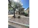 Traditional home with a desert landscaped front yard and arched entry at 22074 S 211Th St, Queen Creek, AZ 85142